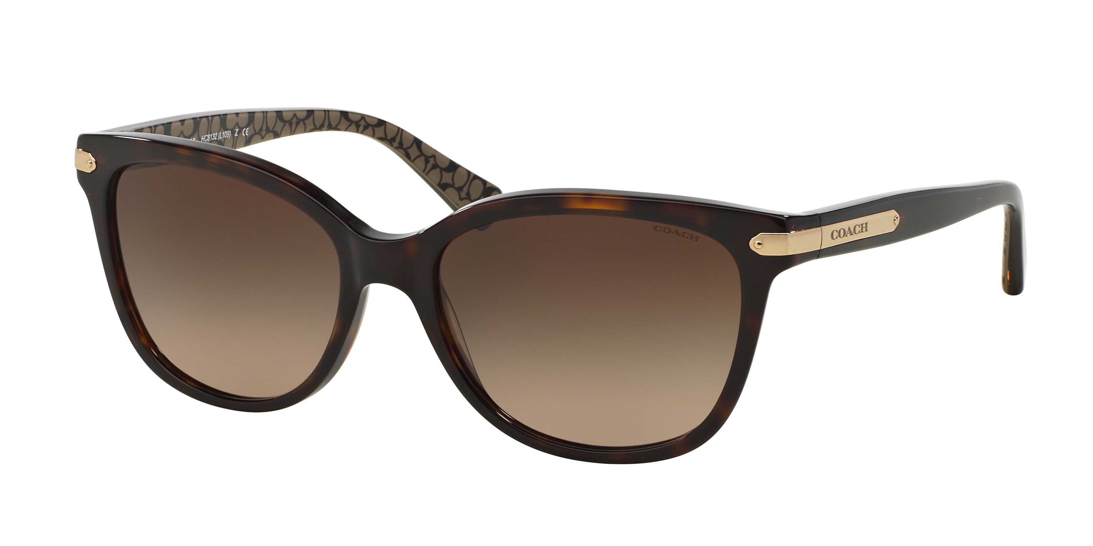 Coach HC8132 L109 Sunglasses | Free Shipping | EZContacts.com