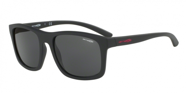 AN4233 Arnette Sonnenbrille COMPLEMENTARY