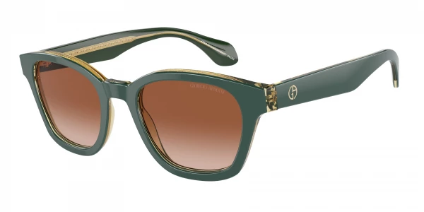Giorgio Armani AR8207F