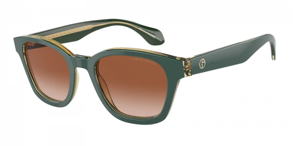Giorgio Armani AR8207F