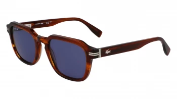 Lacoste L6046S style-color 210 Striped Brown