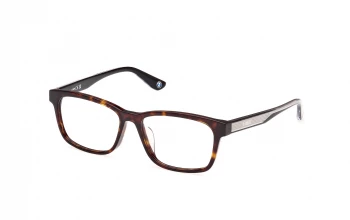 Bmw BW5081-H style-color 052 Dark Havana / Dark Havana