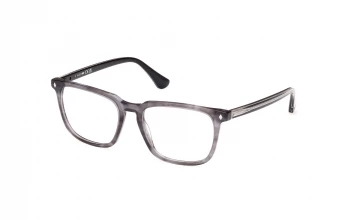Web Eyewear WE5430 style-color 020 Grey / Striped / Grey / Striped