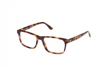 Bmw BW5083-H style-color 052 Havana / Havana / Havana / Havana