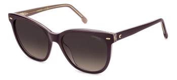 CARRERA 3043/S style-color 0T7 Plum T7 P / HA BROWN SHADED A Lens