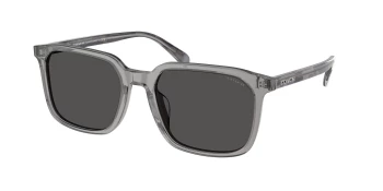Coach HC8411U CW405 0HC8411U style-color 584987 Transparent Grey / Grey Solid Lens