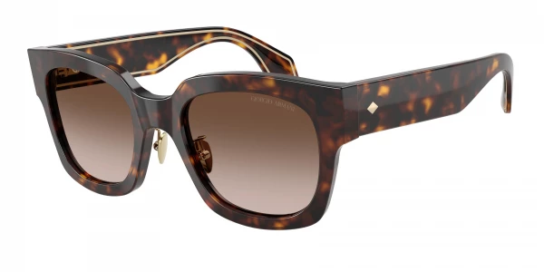 Giorgio Armani AR8223