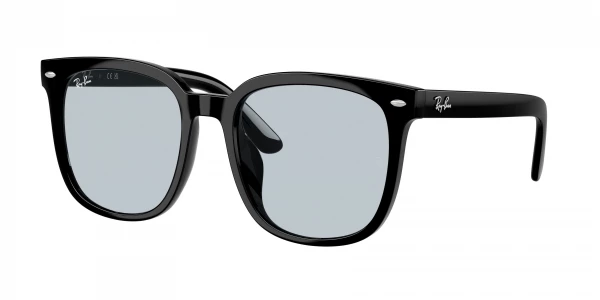 Ray-Ban RB4401D