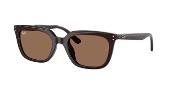 Ray-Ban RB4439D style-color 623173 Opal Brown / Dark Brown Lens