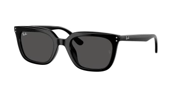 Ray-Ban RB4439D style-color 901/87 Black / Dark Grey Lens
