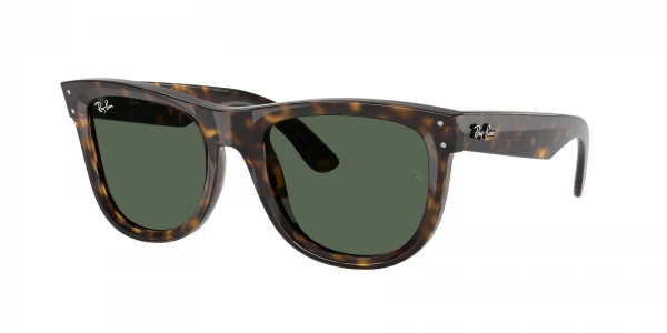 Ray-Ban RBR0502S WAYFARER REVERSE 0RBR0502S