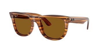 Ray-Ban RBR0502S WAYFARER REVERSE 0RBR0502S style-color 679183 Striped Havana / Polar Dark Brown Lens