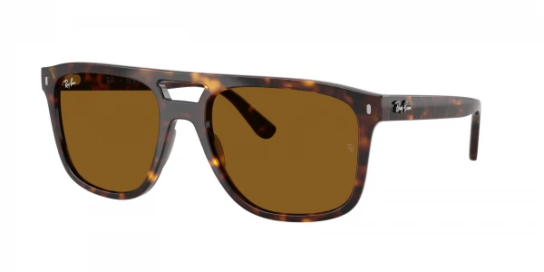 Ray-Ban RB2213