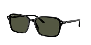 Ray-Ban RB2231F RAIMOND 0RB2231F style-color 901/31 Black / G-15 Green Lens
