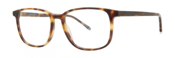 Paradigm 20-10 style-color Tortoise