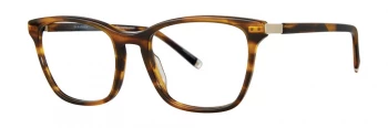 Paradigm Morrison style-color Tortoise MORI