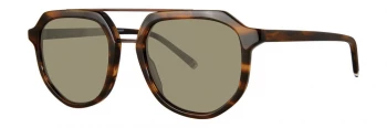 Paradigm Russell style-color Tortoise RUSL