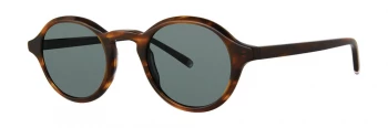 Paradigm Soli Sun style-color Tortoise SLLS