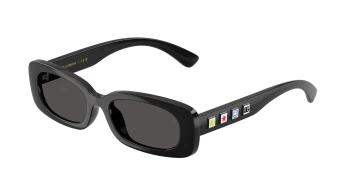 Dolce & Gabbana DX6006U style-color 501/87 Black / Dark Grey Lens