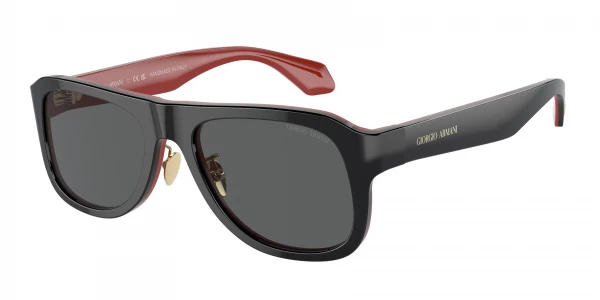 Giorgio Armani AR8209