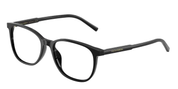 Dolce & Gabbana DG3426 style-color 501 Black
