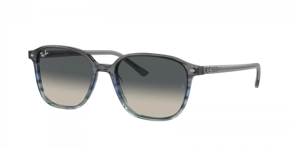 Ray-Ban RB2193 LEONARD