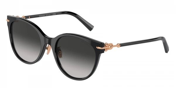 Stuart Weitzman WZN 8005/G/S Sunglasses | Free Shipping  display picture 3