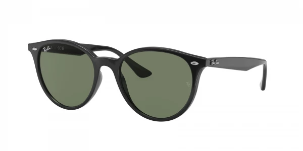 Ray-Ban RB4305