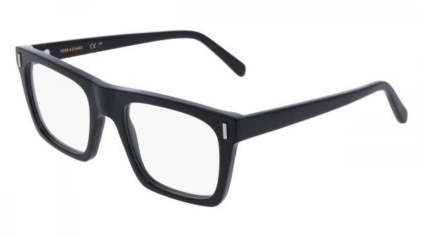 Salvatore Ferragamo SF3029