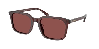 Coach HC8411U CW405 0HC8411U style-color 585075 Transparent Mahogany / Wine Solid Lens