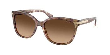 Coach HC8132 L109 style-color 528713 Tortoise / Brown Gradient Lens