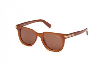 Ermenegildo Zegna EZ0248 style-color 45E Shiny Light Brown / Shiny Light Brown / brown brown Lens