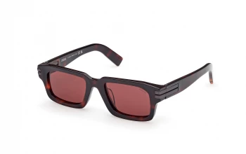 Ermenegildo Zegna EZ0255 style-color 54S Red Havana / Red Havana / bordeaux bordeaux Lens