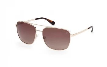 Timberland TB00044 style-color 32H Shiny Pale Gold / Shiny Pale Gold / gradient brown gradient brown Lens