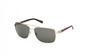 Harley Davidson HD00018 style-color 32N Matte Pale Gold / Light Brown / Horn / green green Lens