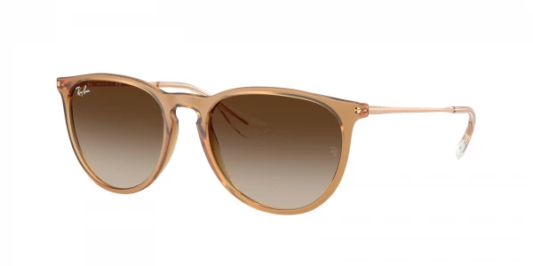 Ray-Ban RB4171 ERIKA