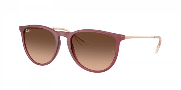 Ray-Ban RB4171 ERIKA