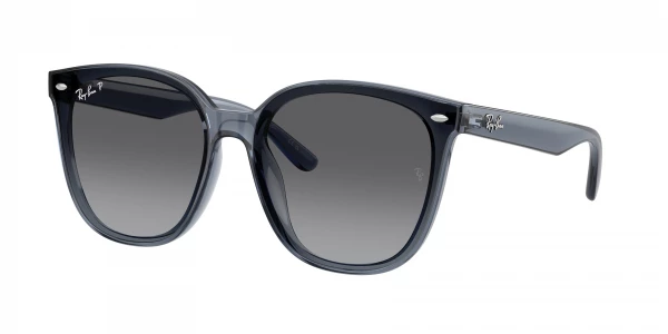 Ray-Ban RB4423D