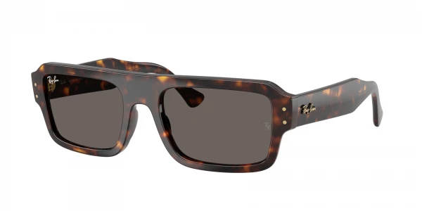 Ray-Ban RB4454 LUKAS 0RB4454
