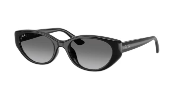 Ray-Ban RB4457D style-color 667711 Black / Grey Gradient Lens