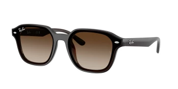 Ray-Ban RB4458D style-color 714/13 Transparent Dark Brown / Gradient Brown Lens