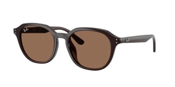 Ray-Ban RB4459D style-color 623173 Opal Brown / Dark Brown Lens
