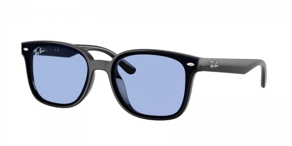 Ray-Ban RB4461D