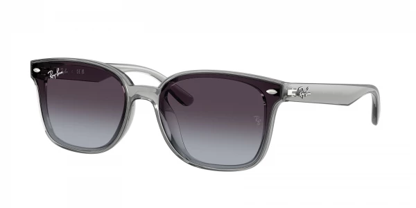 Ray-Ban RB4461D