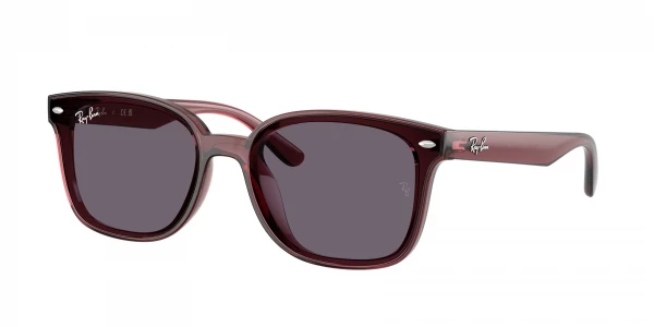 Ray-Ban RB4461D