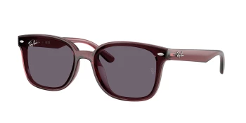 Ray-Ban RB4461D style-color 659373 Transparent Dark Brown / Violet Lens