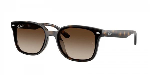 Ray-Ban RB4461D
