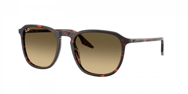 Ray-Ban RB2203
