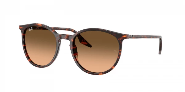 Ray-Ban RB2204