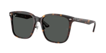 Ray-Ban RB2206D style-color 710/87 Havana / Dark Grey Lens